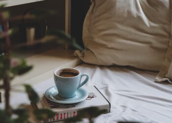 chaise lounge covers