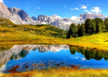 Best Helium 10 Alternatives