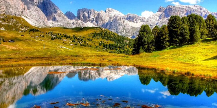 Best Helium 10 Alternatives