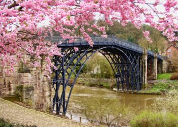 Wholesale Accessories UK