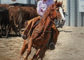  womans western hats.