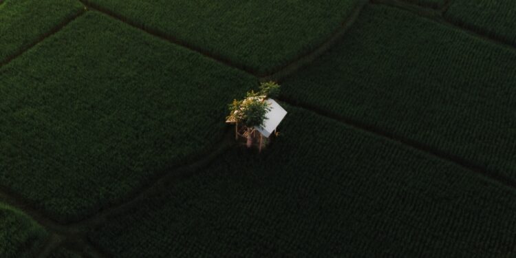 drought-tolerant landscape design cost.
