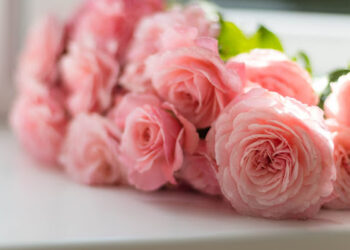 send flowers to India