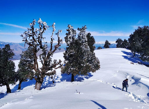 THE GUIDE TO KHEERGANGA TREK